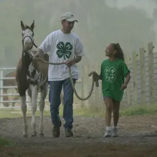 thumbnail for publication: 4-H Animal Science